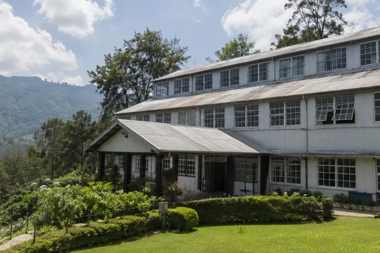 Ceylon Tea Museum